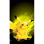 The pokomon nation
