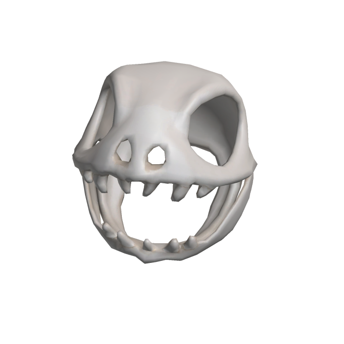 ❤️Halloween dinosaur skull hat