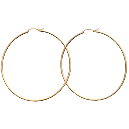 Gold Earring Hoops