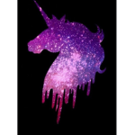 Galaxy unicorn fans