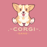 Corgi Gang!!!!