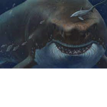 Pizzashark