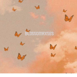 blossomrxses