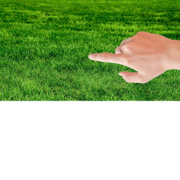 Cart ride to touch grass