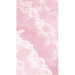 _Sweet roses_
