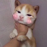 khrxi