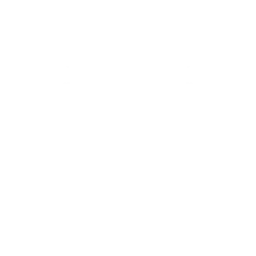 Notepad $F0RE4L