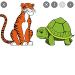 Turtle of fire