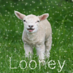 L Ø Ø N E Y HANGOUT