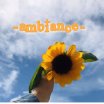 -ambience-