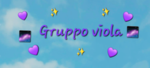 IL GRUPPO VIOLA