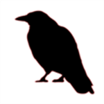 Murder Of Crows