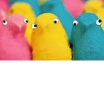 ~Da Crazy Peeps~