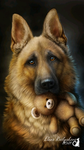 WolfproW’s Fans