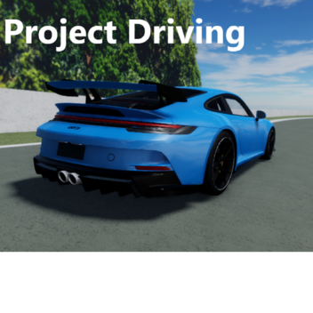 Project: Driving