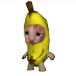 Bananas<333