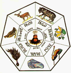 Cherokee nation (7 clans)