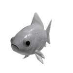 FISHS BOSS CLUB