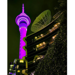 [CA] CENTRAL AUCKLAND
