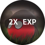 2X Experience