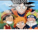 The witness leader