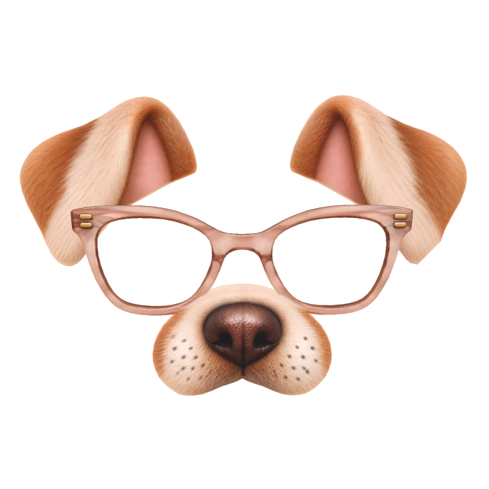 Cute Dog Filter with Pink Glasses