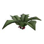 Snowberry Hat