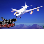 Survived the plane crash captains