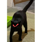 ѕ&є ¢ℓσтнιиg