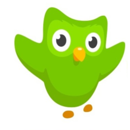 duolingo sad story