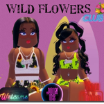 LESHA'SWORLDWild Flowers
