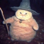 ObbyWizard