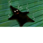 * Pineguins *