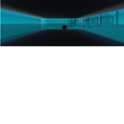 The Black Hole