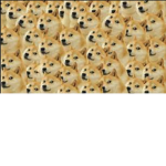 FluffyDogesAreFluffy