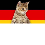 Cat Germany