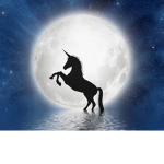 Unicorn starlight group