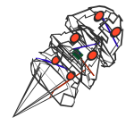Prototype