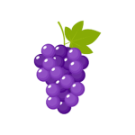Hundred Grapes