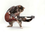 MusicalPets