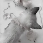 9ynh Group Thumbnail