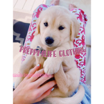 PREPPY4LIFE!