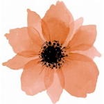 KENZIES GROUP RADDDD