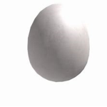 The Eggz Of RBLX