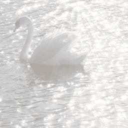 ’ 𝑤𝑖𝑙𝑙𝑖𝑎𝑚𝑒𝑠𝘵