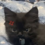 wakeupitssam