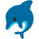 #Dolphin Squad