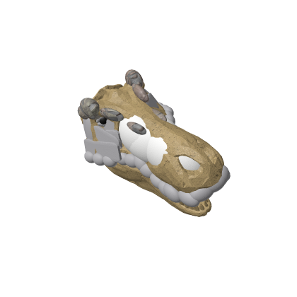 t rex head