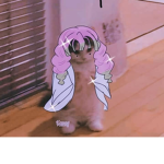 I MADE THIS TO GIB ROBUX