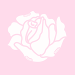 ~+.Meraki.+~